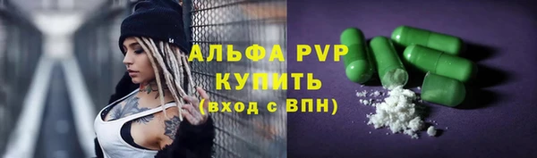 дживик Костерёво
