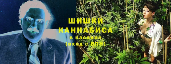 дживик Костерёво