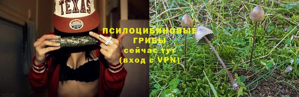 скорость Корсаков