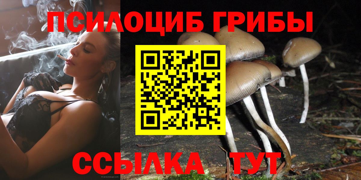 Сызрань  Галлюциногенные грибы Magic Shrooms  Вход с VPN  Псилоцибиновые грибы мухоморы 